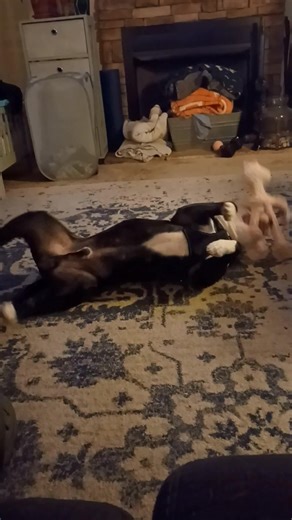 Life wit RuFus!!!! | Ron Harris