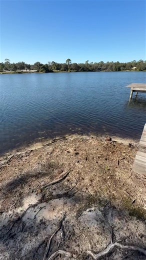 New listing coming up on a spring fed lake朗 #movingtoflorida # #LakefrontLiving #LakeLife #ocalarealtor #floridarealestate #fishing ChrisandCourtney Moody NextHome Professional Realty | Courtney Moody | Facebook