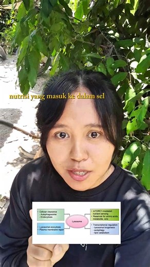 Hi on Instagram: "Lisosom"