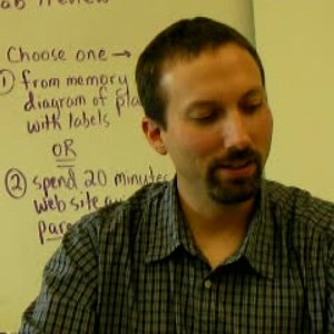 Cheek Cell Iodine Slide