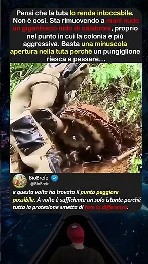 Rimuovere a mano un gigantesco nido di calabroni