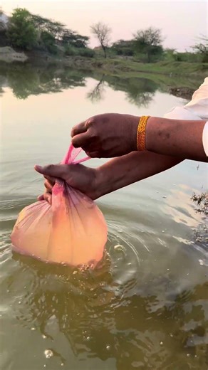 The guy shows SURVIVAL skills: I made aWashing Machine in the Wilderness#survival