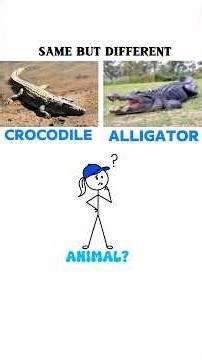 Crocodile vs Alligator #LearnWithDiffy #CrocodilevsAlligator #DidYouKnow #FunFacts #Educational