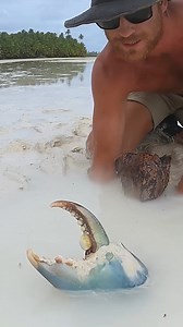 GIANT MUDCRAB barehanded catch for ISLAND SURVIVAL | Strick & Fran