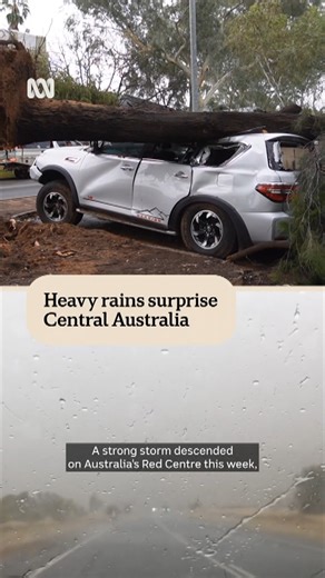 Heavy rain surprises Central Australia 🌧️ Strong winds uprooted trees, with branches and entire trunks landing on cars and roads after a storm hit Alice Springs. 🎤 Gemma Ferguson 🖥️ Victoria Ellis, Stewart Brash, Elsie Lange 📷 ABC News/Supplied Choose your news on the ABC NEWS app and stay in the know: https://ab.co/abcnewsapp | ABC Adelaide