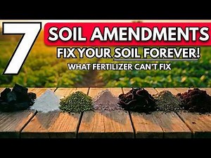 7 Secret Soil Amendments That Triple Your Harvest (Science-Backed Results)