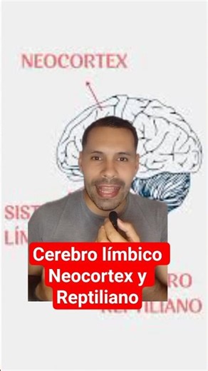 Cerebro límbico,reptiliano y neocortex #cerebro #coach #entrenar #emociones #pensamientos