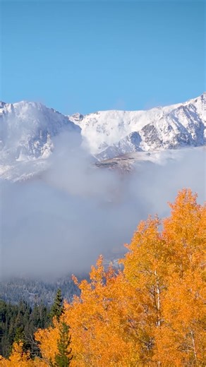 The 10-Second Season: Fall + Winter = FINTER #Vallerret