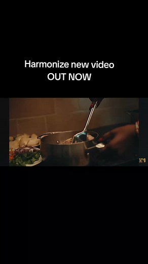 Harmonize New Music Video Release