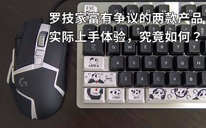 【熊猫滚滚 罗技G502 G413】罗技家最富有争议的两款产品，到底如何？