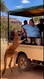 A kangaroo attacks a woman | Mundo salvaje IA,Wild world IA