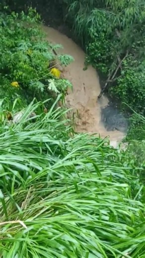 E ASSIM MESMO-retroceder sim, render-se jamais #rosalinadeoliveira #reflexão #shortvideo