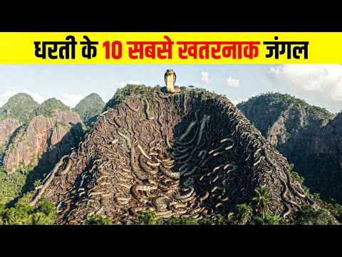 Top 10 Mysterious Jungles in the World | Duniya Ke 10 Rahasyamay Jungle Explained,