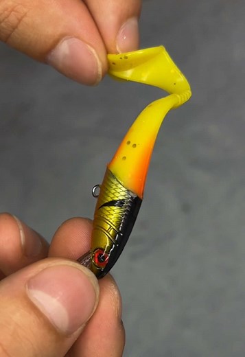 Astuce pêche! Je bricole un leurre hybride un peu fou : tête de crankbait queue souple ! Ça nage comme un crank, ça vibre comme un swimbait #bassfishing #fishinglure #luremaking #crankbait #fisherman
