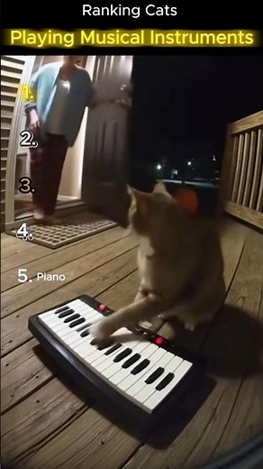 Top 5 Cats Playing Musical Instruments 🎶🐱 | Funniest Musician Cats