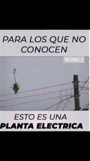 un poco de conocimientos #laratonera #standupcomedy #eldobles #shorts