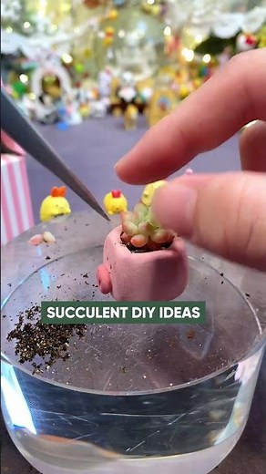 DIY Miniature Succulent: Planting in a Tiny Pot! 🌵✨
