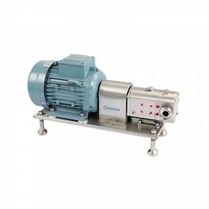 [Hot Item] Sanitary Stainless Steel High Viscosity Mini Small Gear Rotary Lobe Pump