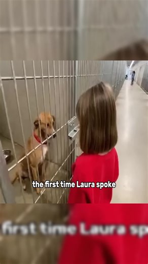 A Girl and Her Adopted Dog Connection