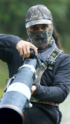 Sasan Amir | Wildlife Photographer on Instagram: "A tiny guardian of the forest 🌳 Hummingbirds are vital pollinators, visiting up to 2,000 flowers a day and beating their wings up to 80 times per second. 🌿💎 Their work keeps Colombia’s rainforests blooming. I never thought I would love to film then sinnlich until the first time I saw them with my own eyes. From then I am looking to find more of them and capture them in the best possible way I can do 😌"
