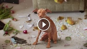 Dáš si Fofolu? (Mucha)