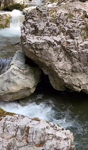 245K views · 5.4K reactions | Ce am descoperit din intamplare in Muntii Apuseni!  | Romania Noastra | Facebook