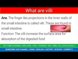 what is valli what is its function | what is Villi and its function | villi and its function