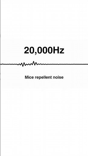 20000Hz Mice Repellent Noise – Ultrasonic Protection (20s)