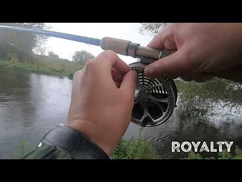 Throop Fishery Dorset Stour and Royalty Fishery Barbel Fishing (Takes Compilation)