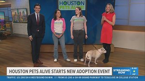 Houston Pets Alive! launches Adopt-a-Palooza to help more pets get homes