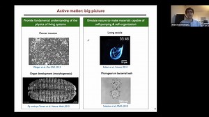 Fluid Mechanics Webinar Series: Doostmohammadi