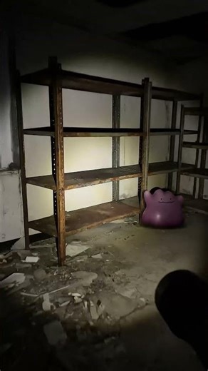 I Shined a Flashlight in an Abandoned Facility and Pokémon Were There