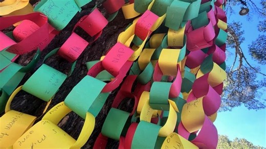 Local opinion: For thousands, Tucson's wishing tree can start something good