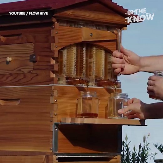 1.7M views · 1K reactions | This beehive invention began as a small project in a shed. Now it’s Indiegogo’s most successful campaign ever | In The Know | Facebook