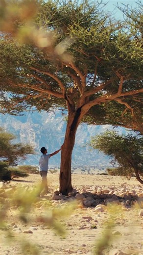 NEOM on Instagram: "Nature’s masterpiece 🌿 #NEOM"