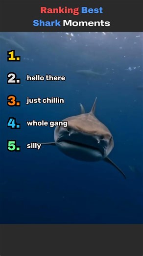 Ranking Best Shark Moments