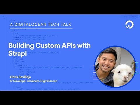 Building Custom APIs With Strapi