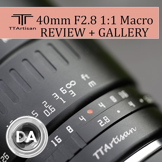 TTArtisan 40mm F2.8 1:1 Macro Review and Gallery - DustinAbbott.net