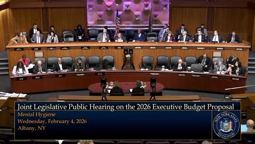 I was pleased to attend the New York State Office for People With Developmental Disabilities (OPWDD) budget hearing alongside Commissioner Willow Baer. I again thanked her for accepting my invitation to visit Rockland County for a roundtable organized by my office, where she met directly with both small and large disability service providers. I also raised concerns my constituents asked me to bring forward during the hearing. As Ranking Member of the New York State Senate Disabilities Committee,