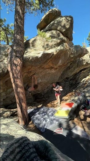 Trogdor SDS, V10