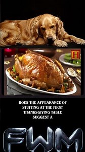 Aliens invented Thanksgiving