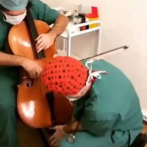 1.4M views · 8.4K reactions | E assim nasceu o Violino...  . #musicos #musico #violino #violin #viola #violoncelo #cello | Saber da Música | Facebook