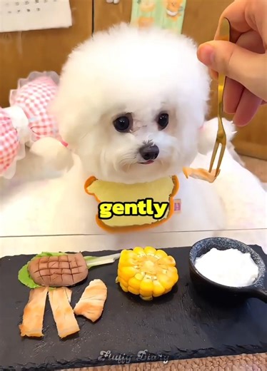 This cute dog daily routine 🐶🛏️ 💗