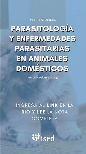 Parasitología y enfermedades parasitarias en animales domésticos