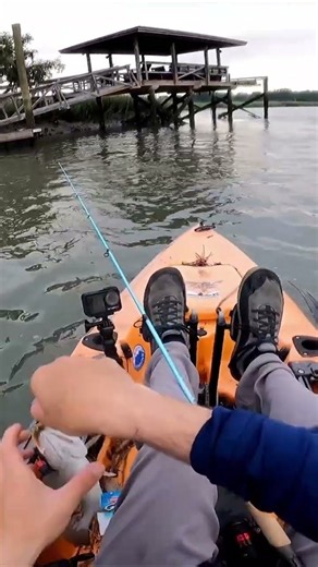 Kayaking Through Peaceful Waters 🛶🌊