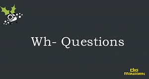 The Summary of Wh-Questions in Chinese