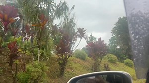 5.4K views · 90 reactions | Vanuakula Waidina Naitasiri Province Fiji | Talanoa with Dr. T | Facebook