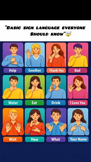 "Basic sign Language Everyone Should Know"🤯