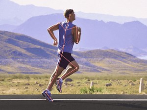 A pose estimation model, object detection and tracking.