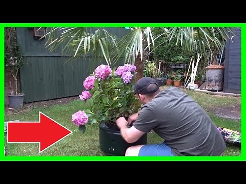 Turning a Washing Machine Drum into a Garden Planter